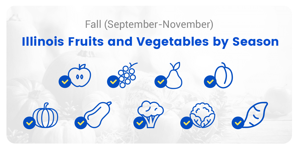 Fall (September-November)